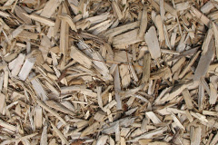 biomass boilers Hunderthwaite